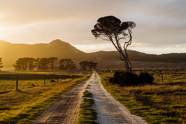 The Beauty and Bounty of Tasmania's Flinders Island