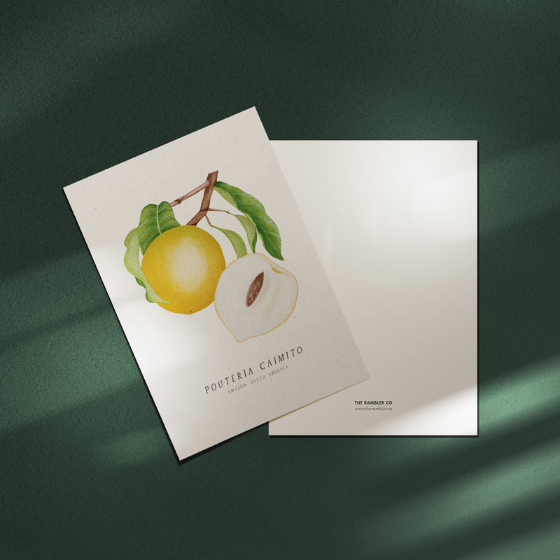Tropical Fruit Postcards - Set of 10